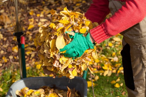 A person wearing a red long-sleeved top and green gardening gloves is holding a large, dense bundle of yellow and brown autumn leaves. The leaves appear freshly collected, with some still slightly curled, and are being placed into a black wheelbarrow positioned on a grassy garden area. In the background, a rake with a red handle is partially visible, leaning against a garden bed with fallen leaves scattered on the ground. The scene is outdoors, likely in a residential or garden environment, capturing typical leaf clearing activity in autumn, related to rubbish removal services such as those offered by Commercial Waste Removal Feltham in the local area.
